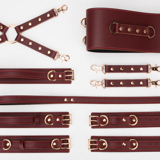 Luxury BDSM Gear Sexy Slave Girl Bondage Kit