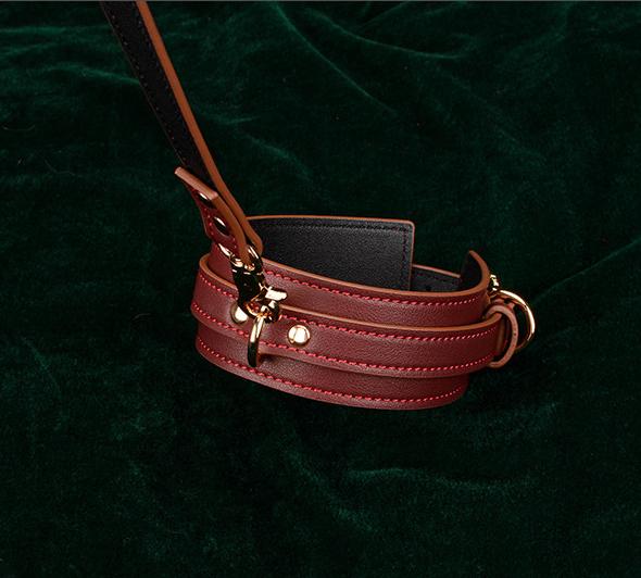Luxury BDSM Gear Sexy Slave Girl Bondage Kit
