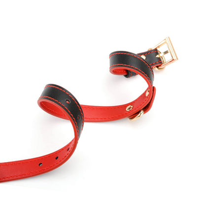 Luxurious Leather BDSM Collar with Matching Leash