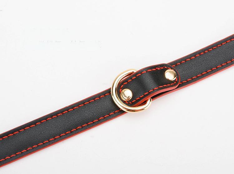 Luxurious Leather BDSM Collar with Matching Leash