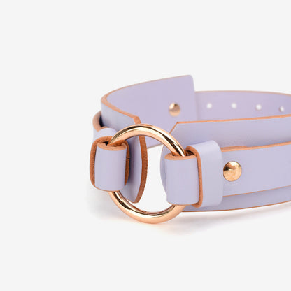 Leather Collar with Bold Gold Metal Hoop and Leash Set