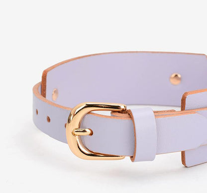Leather Collar with Bold Gold Metal Hoop and Leash Set