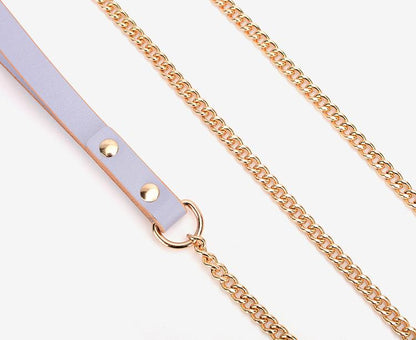 Leather Collar with Bold Gold Metal Hoop and Leash Set