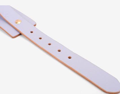 Leather Collar with Bold Gold Metal Hoop and Leash Set