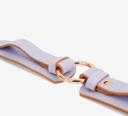 Leather Collar with Bold Gold Metal Hoop and Leash Set