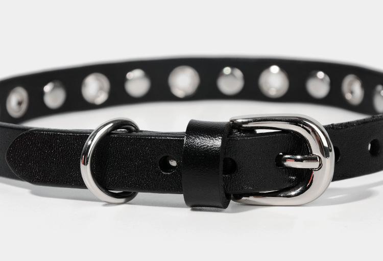 Edgy Leather Collar with Gothic Rivet Design
