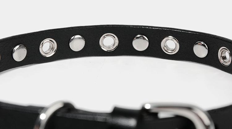 Edgy Leather Collar with Gothic Rivet Design