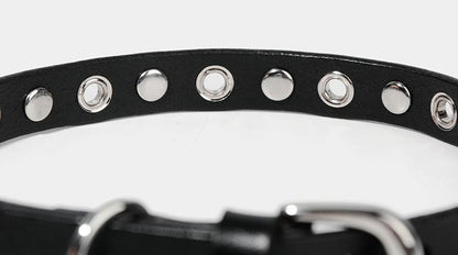 Edgy Leather Collar with Gothic Rivet Design