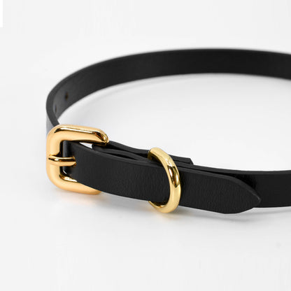 Elegant Leather BDSM Collar with Golden Bell and Matching Leash